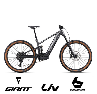 E-MTB Fully